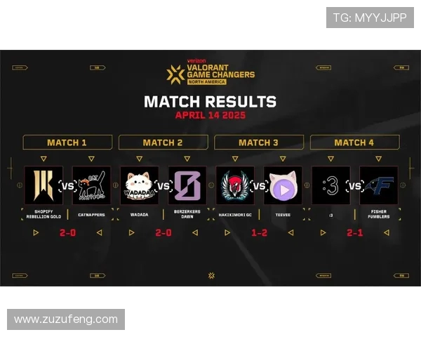 瓦罗兰特比赛数据网站如何通过战绩分析提升游戏水平？